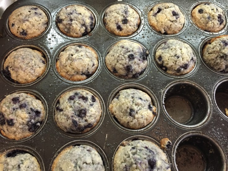 blueberry muffins