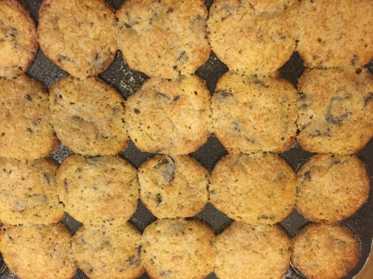 choc_chunk_muff_lowheat